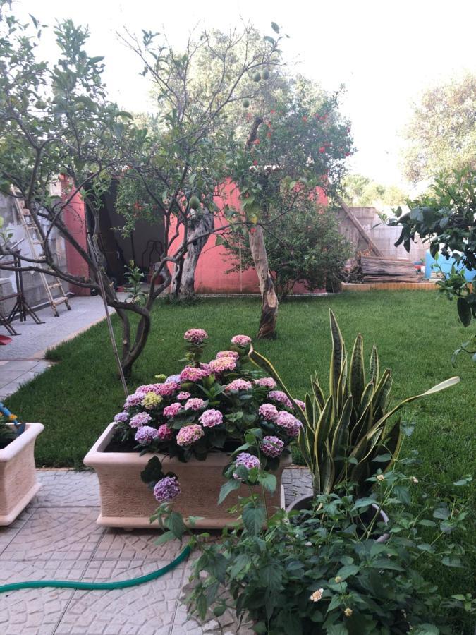 Apartament Paese Museo San Sperate Zewnętrze zdjęcie