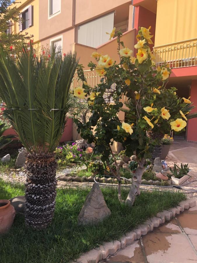 Apartament Paese Museo San Sperate Zewnętrze zdjęcie